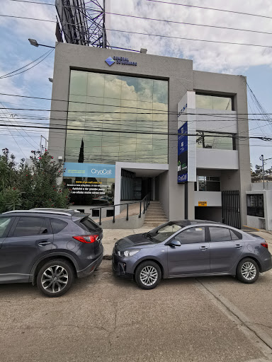 MST INVERSIONES AGUASCALIENTES - Visual