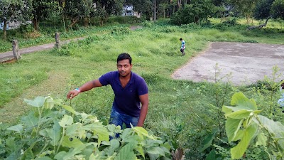 Photos of D-Type Shishu Park