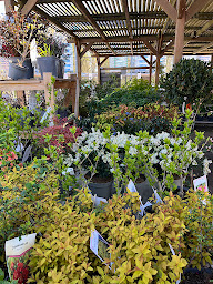 Photo n°17 de Bricorama Montargis à Montargis (Magasin de bricolage)