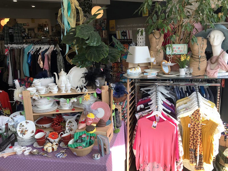 Cats Protection - Henleaze Shop photo 2