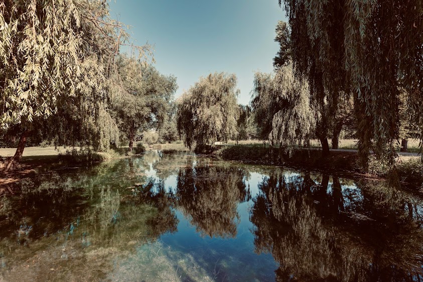 Image de Domaine Du Grand Lauron : entre Avignon et Aix en Provence (Parc régional du Lubéron Vaucluse)