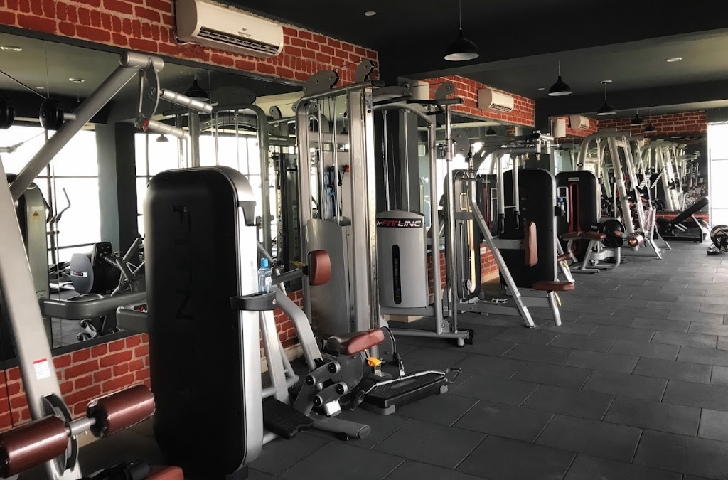 Aesthefit Gym