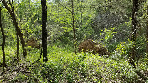 Bicentennial Conservation Area - Thumbnail