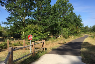 Photo n°6 de Camping Aire Naturelle Le Frezat à Biscarrosse (Terrain de camping)