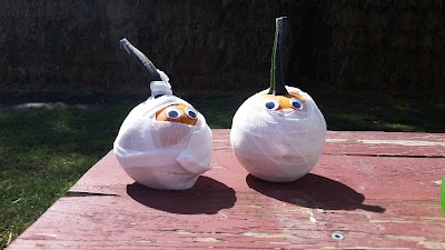Photos of The Great Pumpkin Patch