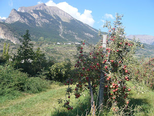 Photo n°1 de Camping à la Ferme La Civadille à Châteauroux-les-Alpes (Terrain de camping)