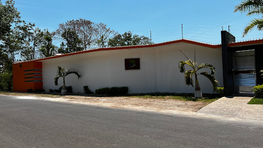 Bahía delfín calderitas