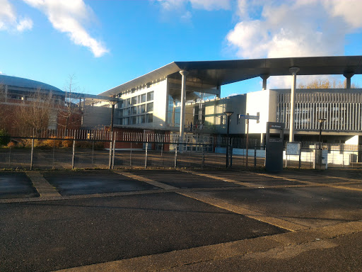 School De La Mare Carrée - Thumbnail
