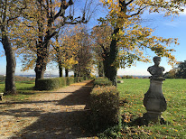 Agence immobilière Kokon Immobilier Charly à Charly