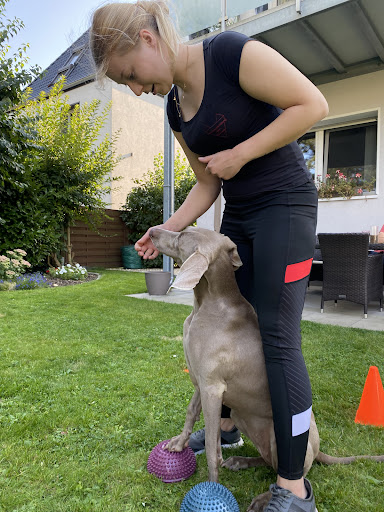 Caroline Wagner - Canis Curatio Hundephysiotherapie, Haiger - Thumbnail