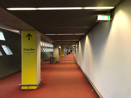 Terminal 2C - CDG - Thumbnail