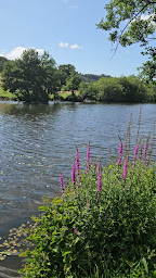 Photo n°20 de CAMPING SAUVAGE - Aire de Camping-Car de Pont d'Ouilly à Pont-d'Ouilly (Terrain de camping)