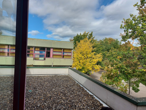 Carlo-Schmid-Gymnasium Tübingen - Thumbnail