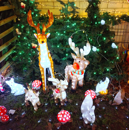 Weihnachtshaus Büdingen Gallery - Germany