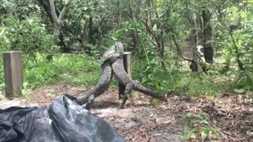 Australian camping tours - Thumbnail