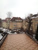 Фотография Черепаха, гостиница, улица Шота Руставели, Калининград, Россия