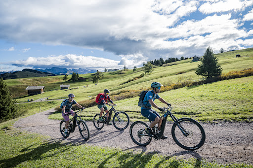 Mountainbike School and rental Gallery - Italy