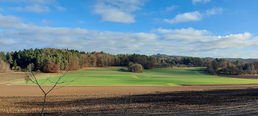 Entmersberg - Visual