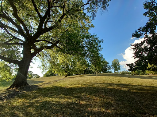 Mt. Storm Park - Visual