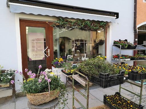 BLUMEN Klemm & Esterbauer