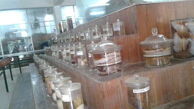 Photos of Zoo Bus Stand