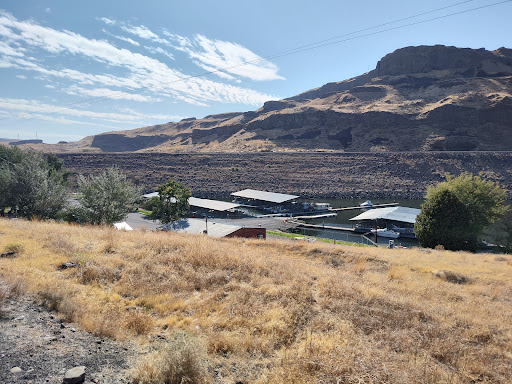 Lyons Ferry Bridge - Visual