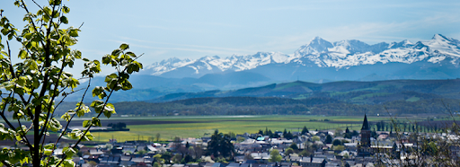 Astuces d'experts immobilier
