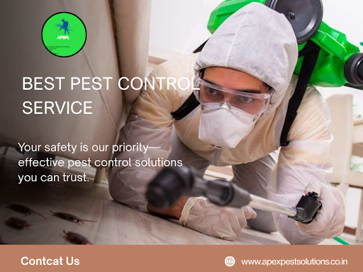 From cockroaches, termites, bed bugs, rodents, and ants to all kinds of infestations, our trained…