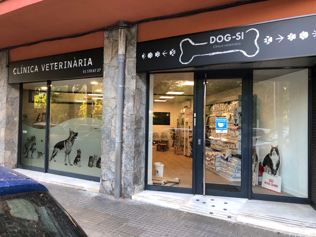 Clinica Veterinaria Dog-Si