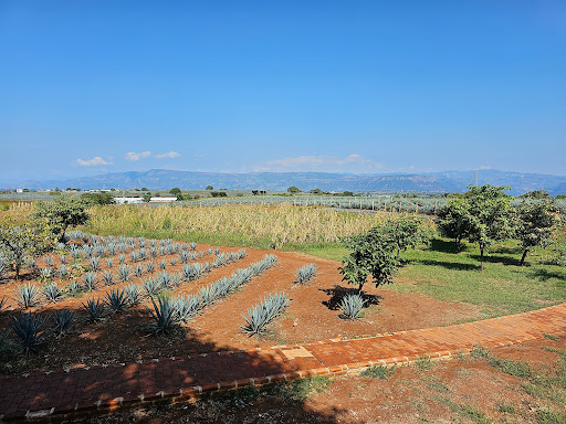 Rancho Tequila Convivencia - Thumbnail