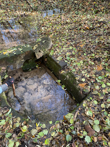 Schlosspark Lodersleben - Visual