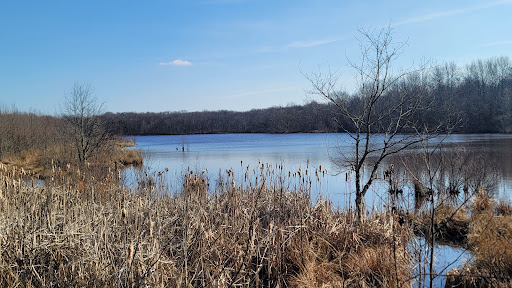 Pigeon Swamp Gallery - United States