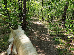Photo n°36 de Ferme de la Combe - The Goldy's Farm à Saint-Jeure-d'Ay (Gîte)