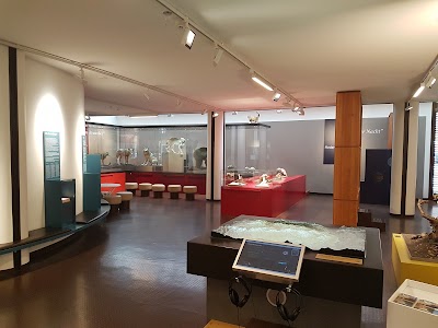 Photos of B&uuml;ndner Naturmuseum