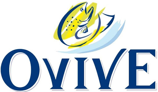 Ovive : truite fumée & idées recette Gallery - France