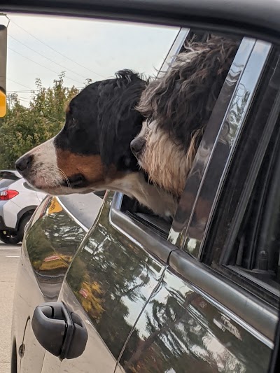 Hitching Post Car Wash