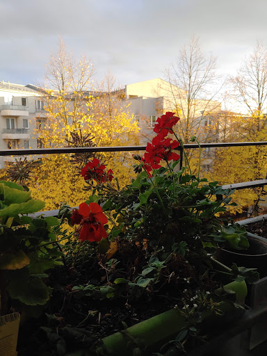 Berlin, Arnouxstr. - Visual