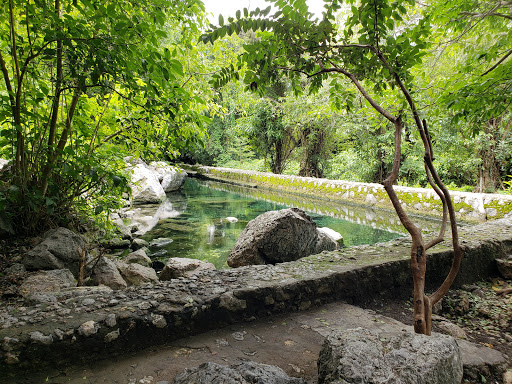 Ojo de Agua "La Huaracha" Gallery - Mexico