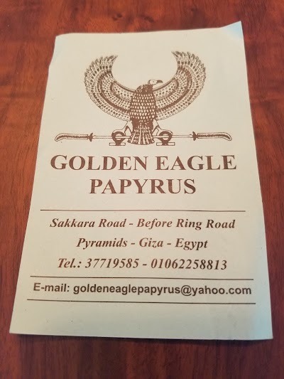 Photos of Golden Eagle Papyrus