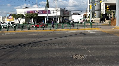 bank