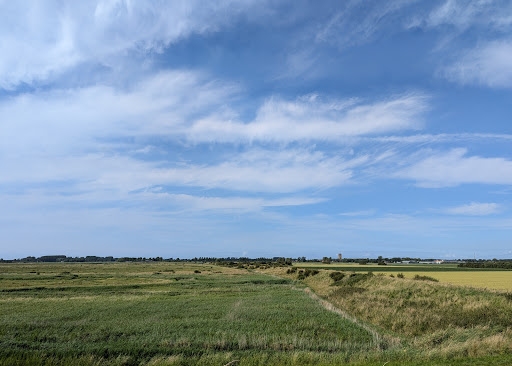 Natuurontwikkelingsgebied Koudenhoek - Thumbnail