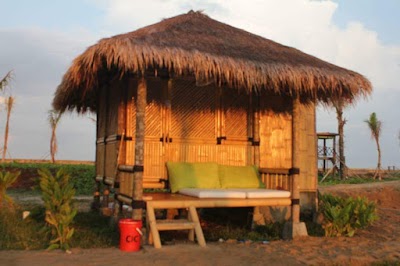 Photos of Coconut Island Carita