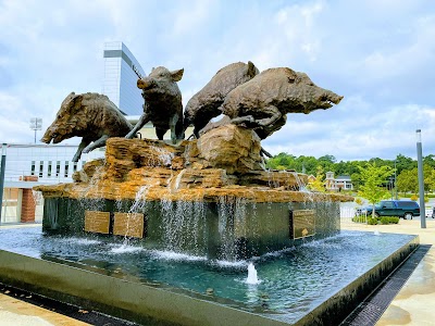 Donald W. Reynolds Razorback Stadium