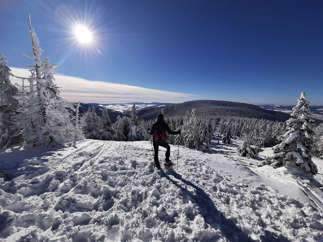 Opinie o 1603 Mountain Store Sklep Górski w Jelenia Góra - Sklep sportowy