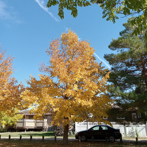 Weinmaster Park - Visual