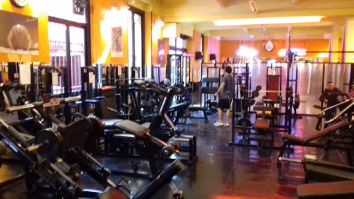 Palestra Power House - Thumbnail