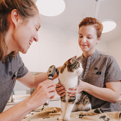 filu Tierarztpraxis Winterhuder Weg - Allgemein- und Notfallmedizin