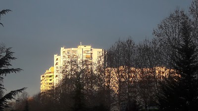 Court of Appeals of Tirana