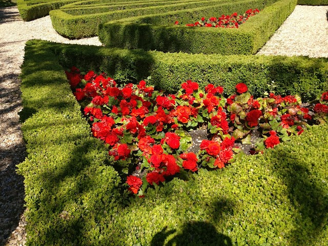 Highcliffe Castle