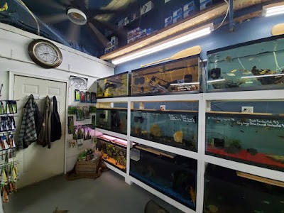 Fish Barn